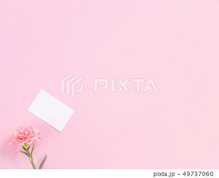 花 フラワー お花 49737060