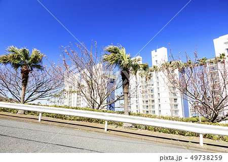 小網代(春) 小網代(春) 49738259