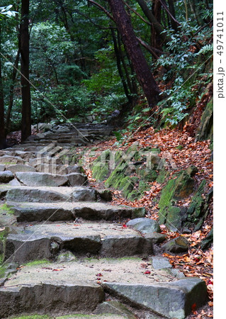 松山城黒門口登城道 松山城黒門口登城道 49741011
