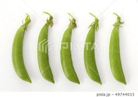 スナップエンドウ 49744015