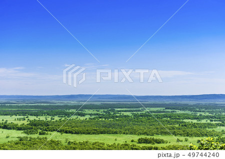 釧路湿原 北斗展望台 釧路湿原 北斗展望台 49744240