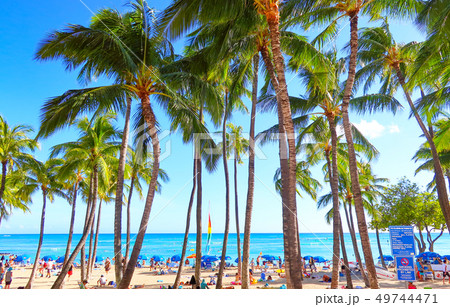 ワイキキ(ハワイイメージ) ワイキキ(ハワイイメージ) 49744471
