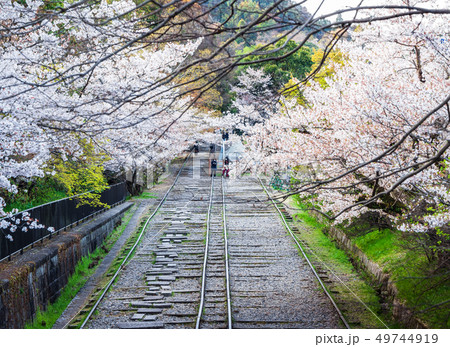 春の京都　蹴上インクライン 49744919