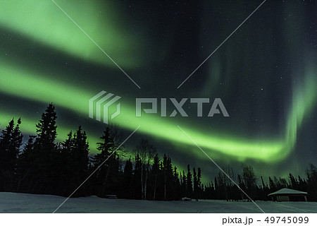 フェアバンクス　チナレイクのオーロラ 49745099