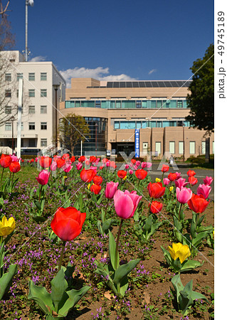 横浜・反町公園 49745189