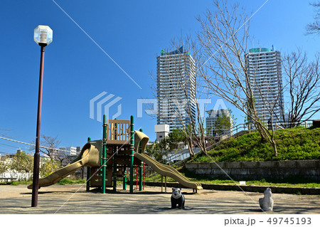 横浜・幸ケ谷公園 横浜・幸ケ谷公園 49745193