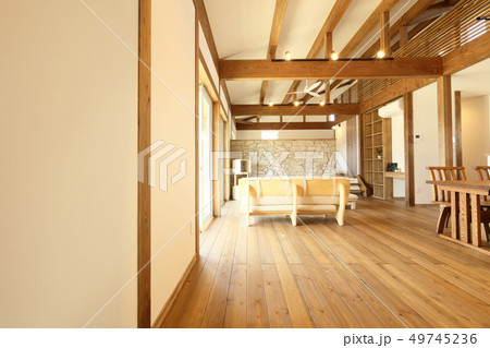 ペット同居型デザイナーズ住宅のお洒落なリビング ペット同居型デザイナーズ住宅のお洒落なリビング 49745236