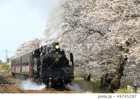 春の真岡鉄道SL 春の真岡鉄道SL 49745297