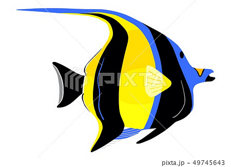 Moorish idol fish. Zanclus cornutus. Vector illustration 49745643