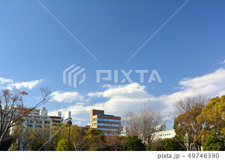 横浜・反町公園 横浜・反町公園 49746390