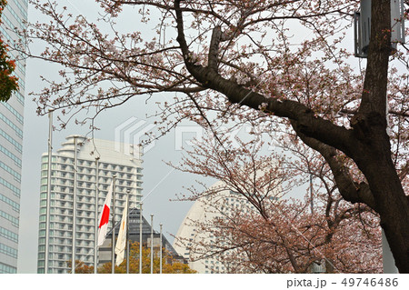 横浜 49746486