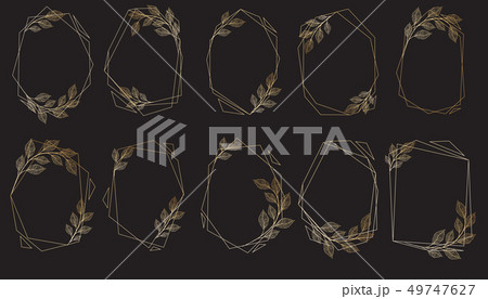 Vector designer elements set collection of greeng leaves herbs 49747627