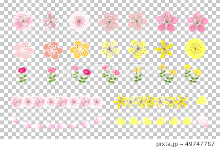 Flower Material Set Sakura Margaret Flower Material Set Sakura Margaret 49747787