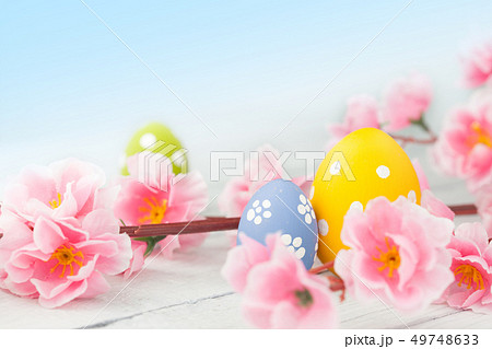 Easter eggs and pink flowers decoration on blue background 49748633