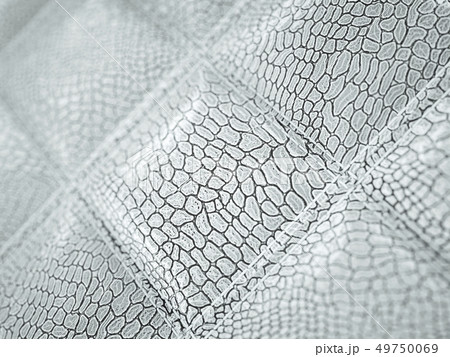 Alligator or crocodile Leather Square stitched Alligator or crocodile Leather Square stitched 49750069
