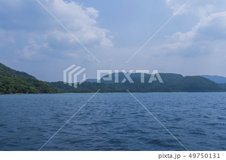 白浜港ターミナル 49750131