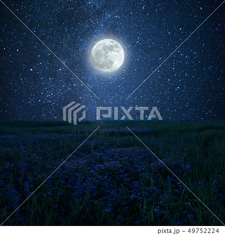 Night landscape with floral meadow Night landscape with floral meadow 49752224