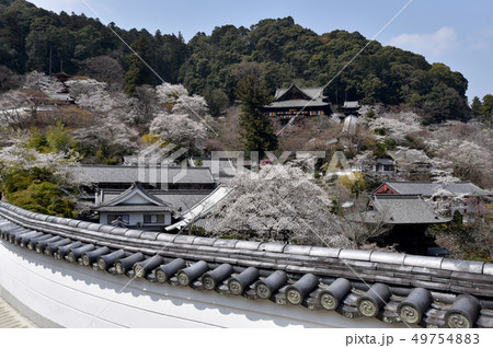 春の長谷寺 春の長谷寺 49754883