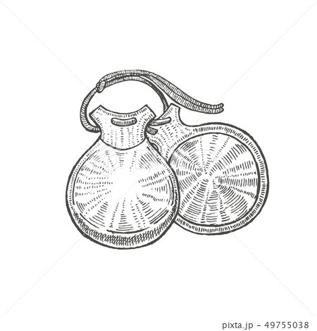 Castanets On White Background In Hand Drawn Styleのイラスト素材