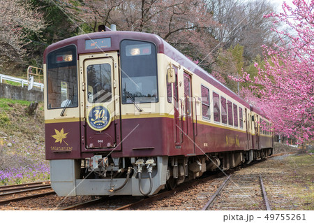 春のわたらせ渓谷鐵道 春のわたらせ渓谷鐵道 49755261