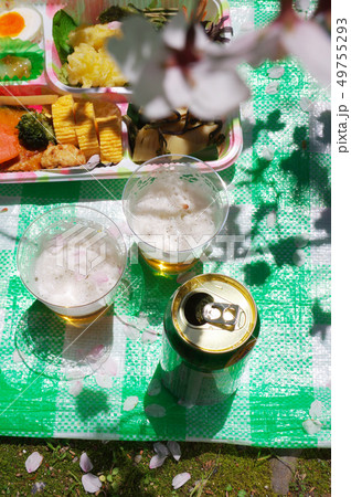 花見とビール 花見とビール 49755293