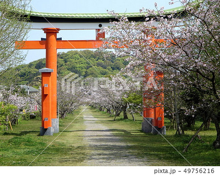 新田神社（薩摩国一の宮）界隈 49756216