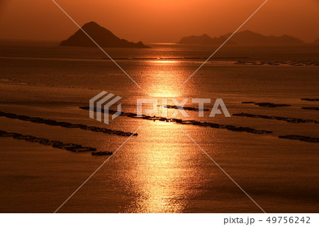 宇和海の日柱 49756242