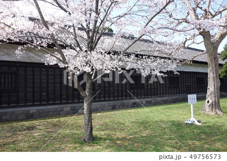 平成31年春季皇居乾通り一般公開（門長屋） 49756573