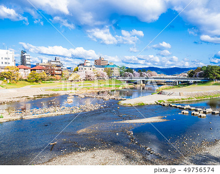 春の京都 鴨川デルタ 春の京都 鴨川デルタ 49756574