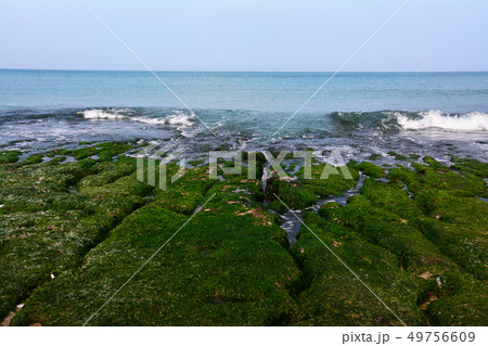 老梅 老梅綠石槽 海沿い 49756609