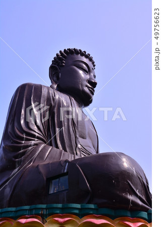 仏 ブッダ 釈迦 49756623