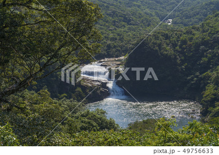 マリュドゥの滝　西表島のジャングル 49756633