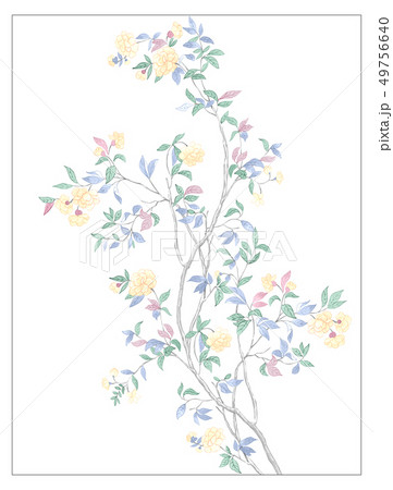 透明水彩 水彩画 花 49756640