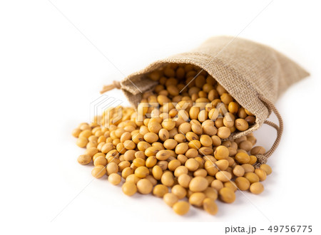 Raw dried soybeans in a sack on white background. 49756775