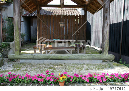 鳥取 四季の散歩 夏 花 鹿野 鳥取 四季の散歩 夏 花 鹿野 49757612