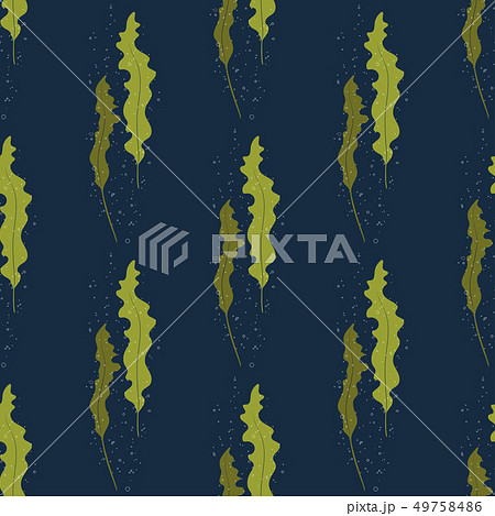 Seamless marine pattern with seaweed Kelp 49758486