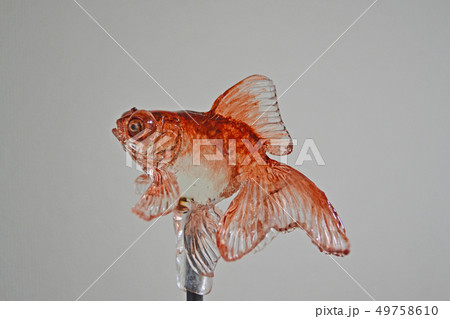 金魚　あめ細工 49758610