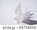 白い鳩の折り紙 49758856