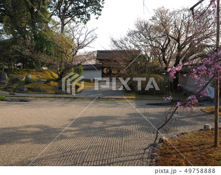 三宝院　庭園 49758888