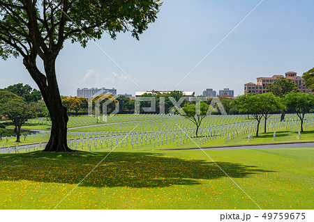 Manila American Cemetery 49759675