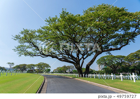 Manila American Cemetery Manila American Cemetery 49759727