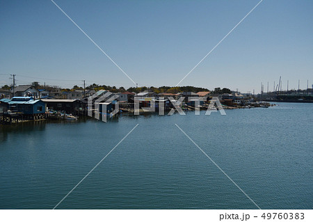 野島公園 49760383