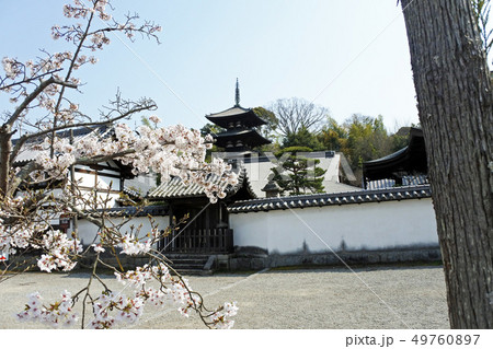 当麻寺 当麻寺 49760897