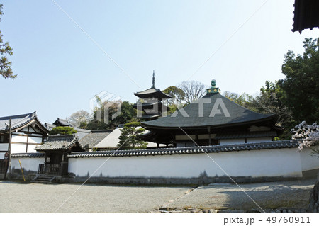 当麻寺 当麻寺 49760911