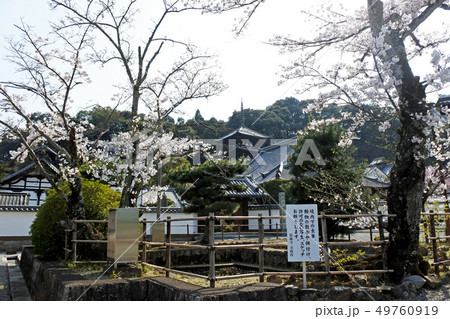 当麻寺 当麻寺 49760919
