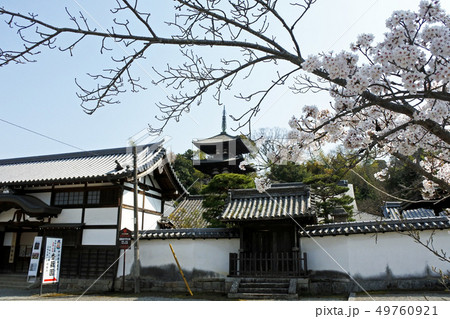 当麻寺 当麻寺 49760921