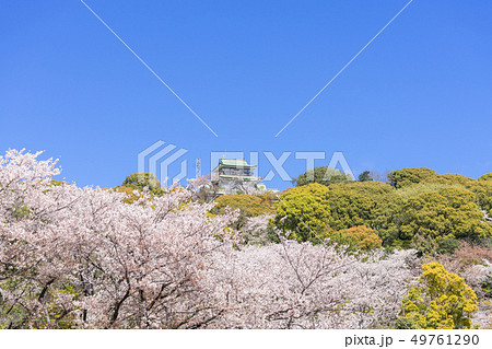 小牧山と小牧城と桜 遠景 小牧山と小牧城と桜 遠景 49761290