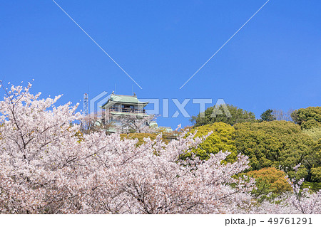 小牧山と小牧城と桜 遠景 小牧山と小牧城と桜 遠景 49761291