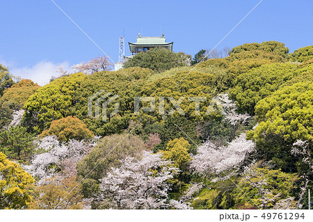 小牧山と小牧城と桜 遠景 小牧山と小牧城と桜 遠景 49761294