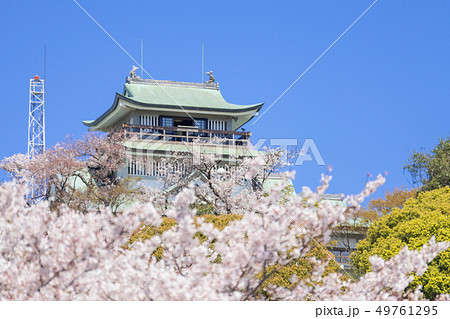小牧山と小牧城と桜　遠景 49761295